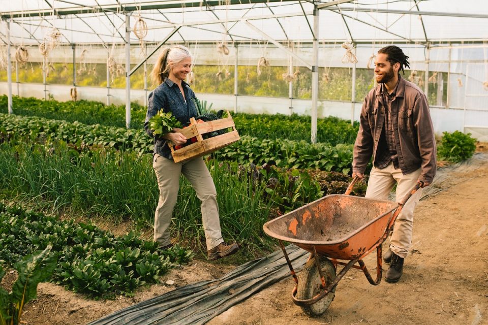 recruter un employé en agriculture